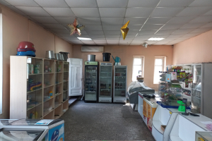 Готовый бизнес, 230 м²